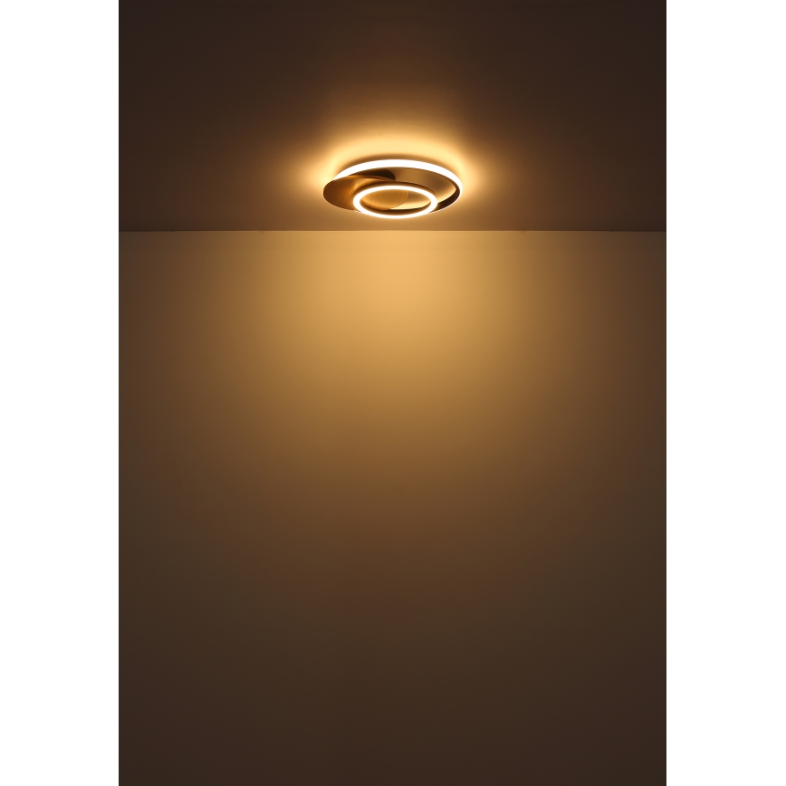 Globo - LED Плафониера LED/24W/230V черен