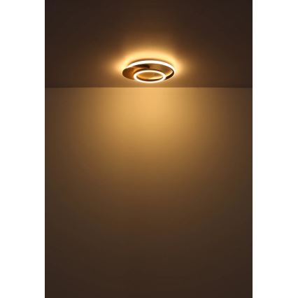 Globo - LED Плафониера LED/24W/230V