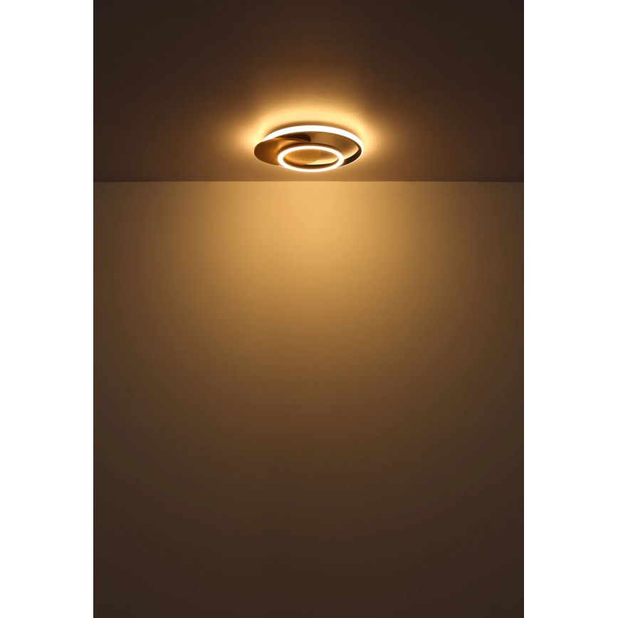 Globo - LED Плафониера LED/24W/230V