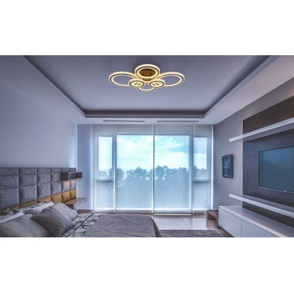 Globo - LED регулируемо таванно осветително тяло LED/60W/230V 2700-6000K 56x78 см антрацит + дистанционно управление