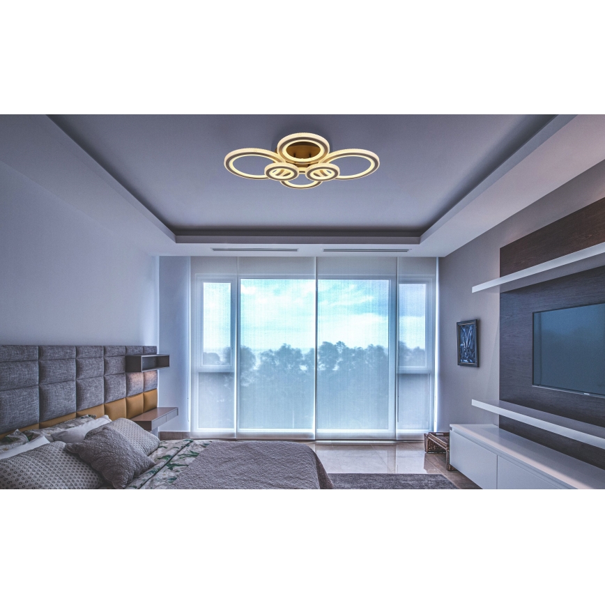 Globo - LED регулируемо таванно осветително тяло LED/60W/230V 2700-6000K 56x78 см антрацит + дистанционно управление