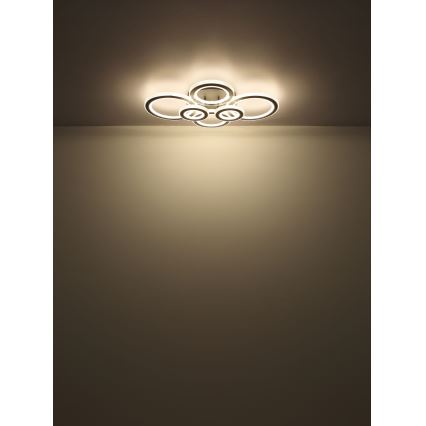 Globo - LED регулируемо таванно осветително тяло LED/60W/230V 2700-6000K 56x78 см антрацит + дистанционно управление