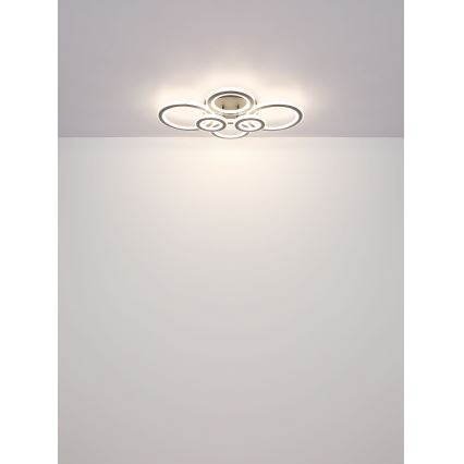 Globo - LED регулируемо таванно осветително тяло LED/60W/230V 2700-6000K 56x78 см антрацит + дистанционно управление