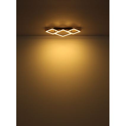 Globo - LED таванен плафон LED/24W/230V + LED/8W 3000K 31x61cm