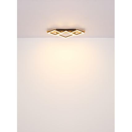 Globo - LED таванен плафон LED/24W/230V + LED/8W 3000K 31x61cm