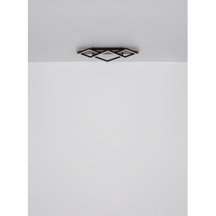 Globo - LED таванен плафон LED/24W/230V + LED/8W 3000K 31x61cm