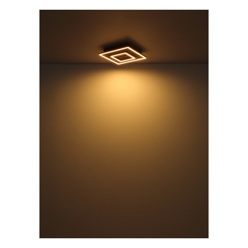 Globo - LED таванно осветително тяло LED/18W/230V 3000K 30x30 см
