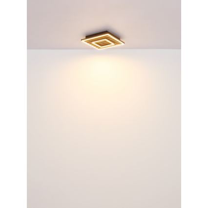 Globo - LED таванно осветително тяло LED/18W/230V 3000K 30x30 см
