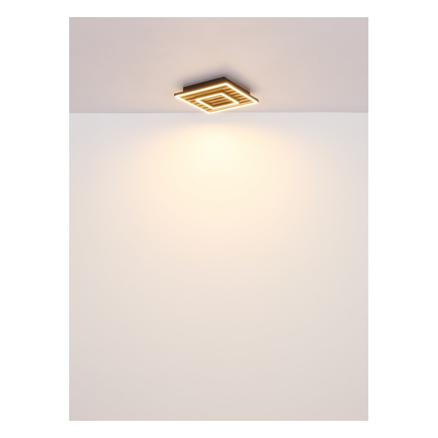 Globo - LED таванно осветително тяло LED/18W/230V 3000K 30x30 см