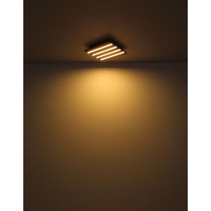 Globo - LED таванно осветително тяло LED/15W/230V 3000K 30x30 cm
