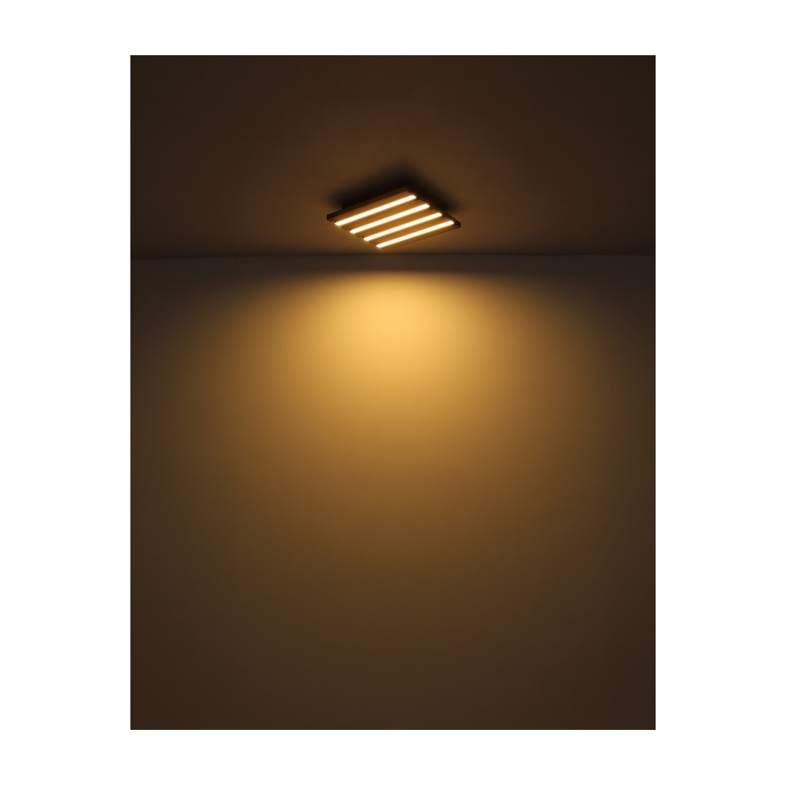 Globo - LED таванно осветително тяло LED/15W/230V 3000K 30x30 cm