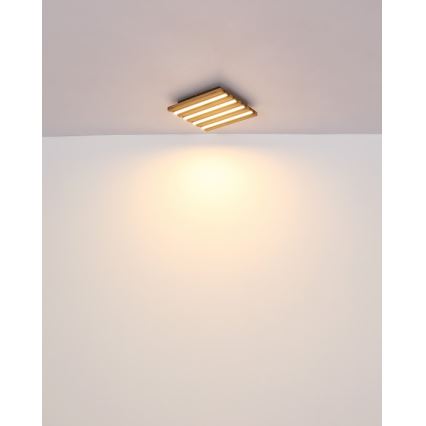 Globo - LED таванно осветително тяло LED/15W/230V 3000K 30x30 cm