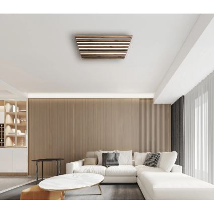 Globo - LED таванно осветително тяло с възможност за димиране 40W/230V 2700-6000K 60x60 см + дистанционно управление