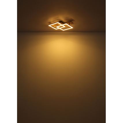Globo - LED таванно осветително тяло LED/16W/230V 3000K 33x44 cm