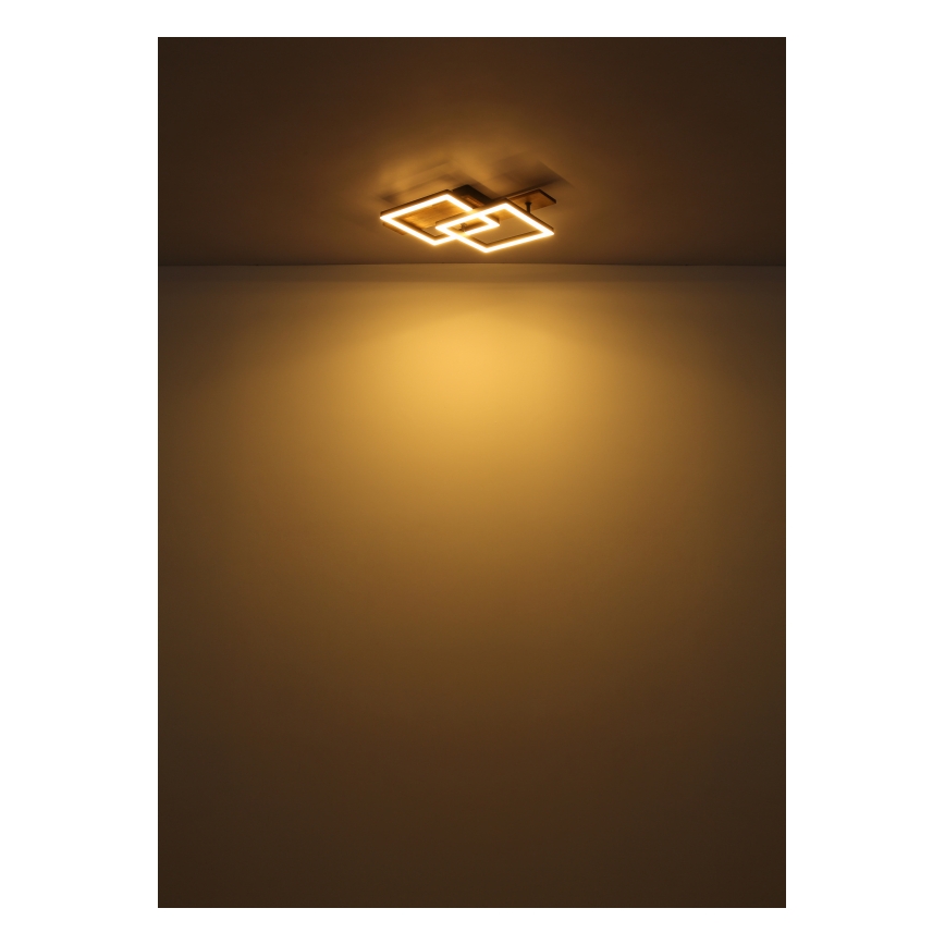 Globo - LED таванно осветително тяло LED/16W/230V 3000K 33x44 cm