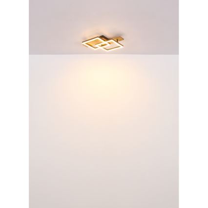 Globo - LED таванно осветително тяло LED/16W/230V 3000K 33x44 cm