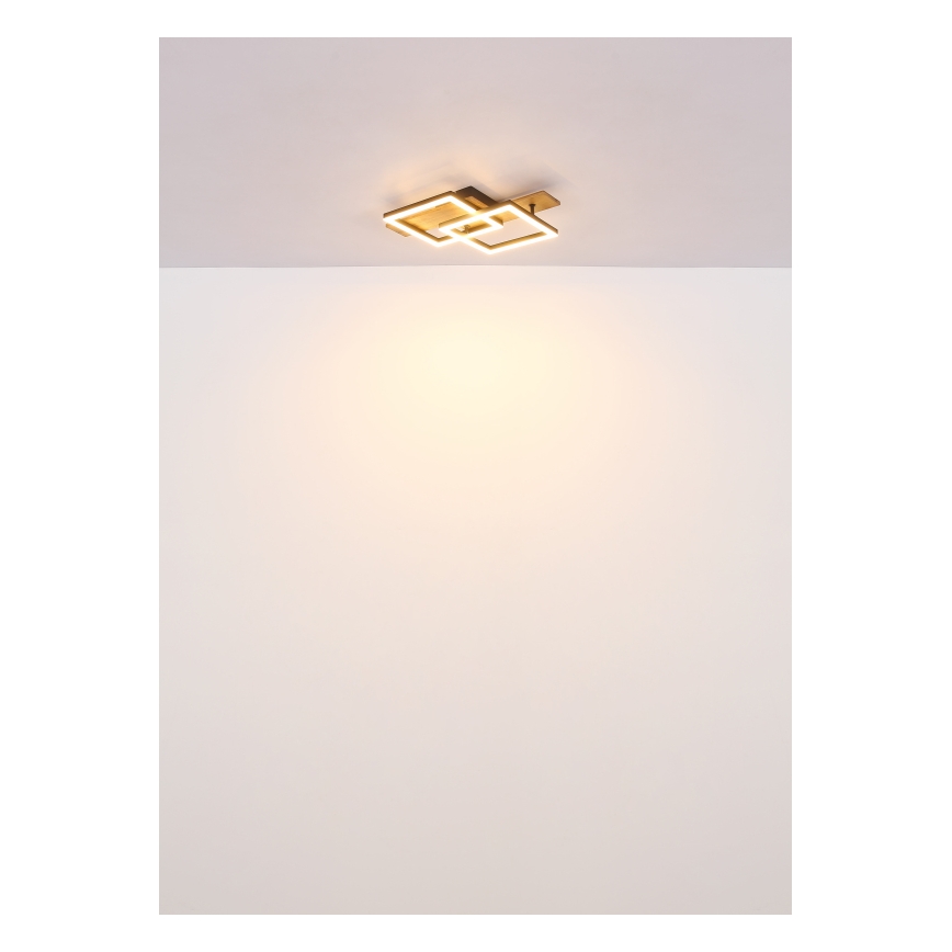 Globo - LED таванно осветително тяло LED/16W/230V 3000K 33x44 cm