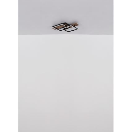 Globo - LED таванно осветително тяло LED/16W/230V 3000K 33x44 cm