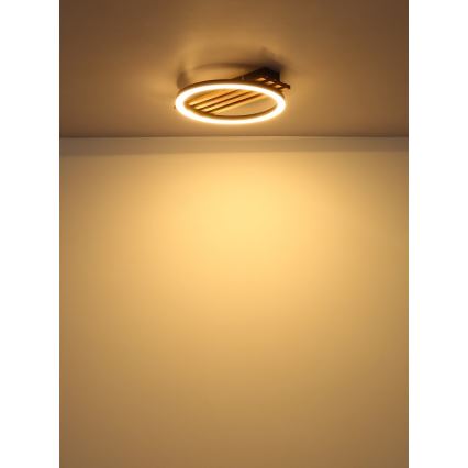 Globo - LED Плафониера LED/12W/230V 3000K 30x34 см