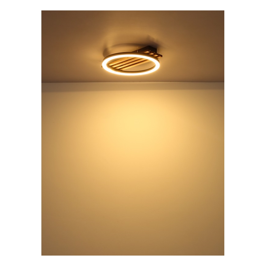Globo - LED Плафониера LED/12W/230V 3000K 30x34 см