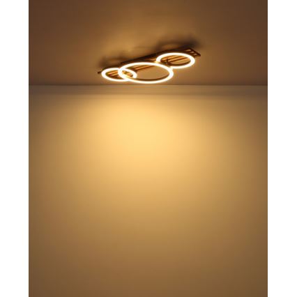 Globo - LED Плафониера LED/24W/230V 3000K 30x62 см