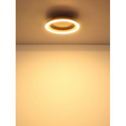 Globo - LED таванно осветително тяло LED/12W/230V 3000K, диаметър 20,5 см