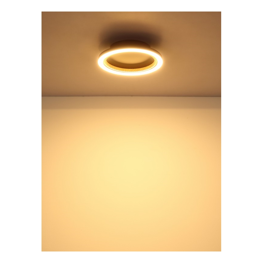 Globo - LED таванно осветително тяло LED/12W/230V 3000K, диаметър 20,5 см