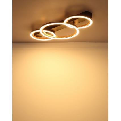 Globo - LED таванно осветително тяло LED/40W/230V 3000K 58x30 cm