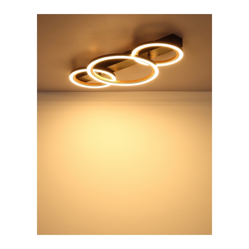 Globo - LED таванно осветително тяло LED/40W/230V 3000K 58x30 cm