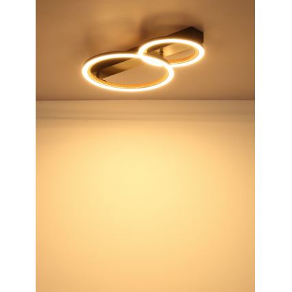 Globo - LED плафон LED/30W/230V 3000K 44x30 cm
