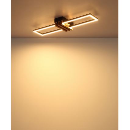 Globo - LED таванно осветително тяло LED/20W/230V 3000K 60x16,8 cm