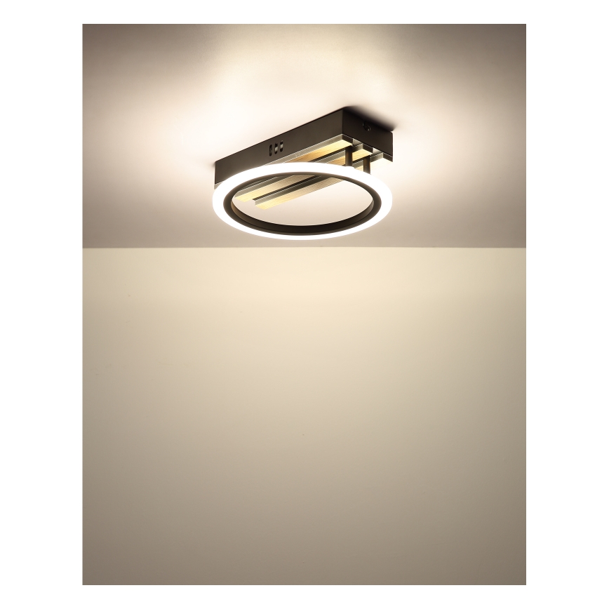 Globo - LED таванно осветително тяло LED/10W/230V 3000/4200/600K 25x25 см