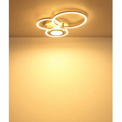 Globo - LED таванно осветително тяло LED/40W/230V 3000K 49x39 cm