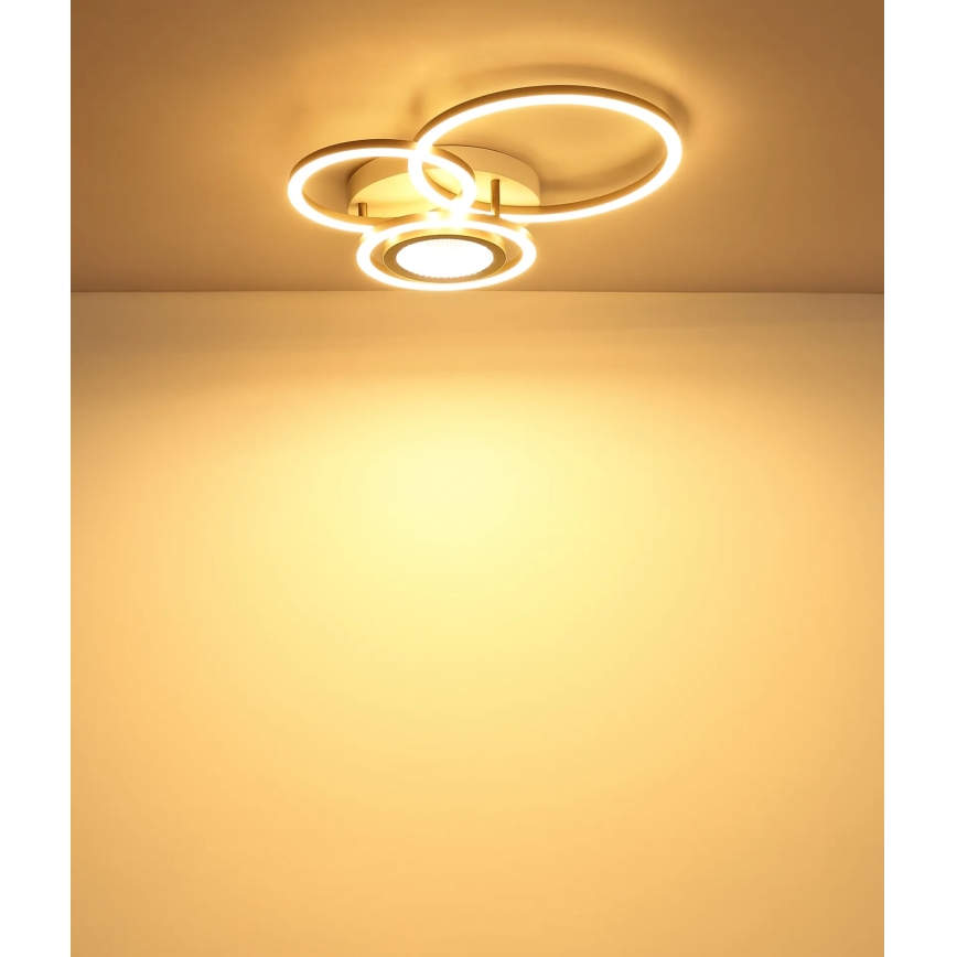 Globo - LED таванно осветително тяло LED/40W/230V 3000K 49x39 cm