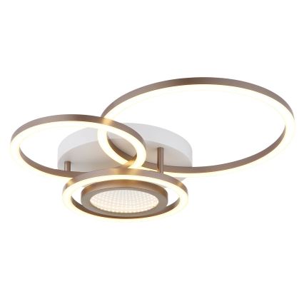 Globo - LED таванно осветително тяло LED/40W/230V 3000K 49x39 cm