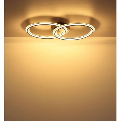 Globo - LED таванен плафон LED/30W/230V 3000K 33x54 cm