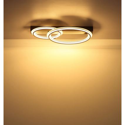Globo - LED таванно осветително тяло LED/30W/230V 3000K 33x45 cm