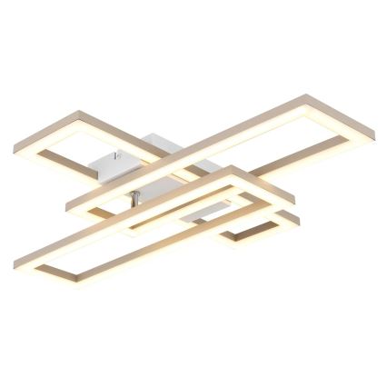 Globo - LED таванно осветително тяло, 24W, 230V, 3000/4000/6000K