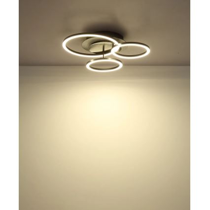 Globo - LED плафон LED/40W/230V 4000K 42x46 см