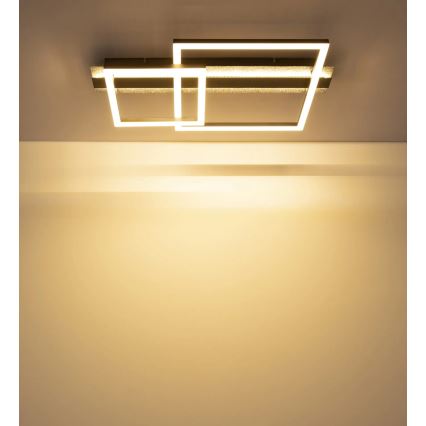 Globo - LED таванно осветително тяло LED/30W/230V 3000K 33x56 cm