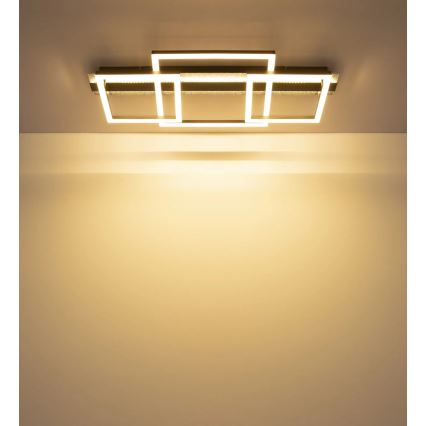 Globo - LED таванно осветително тяло LED/40W/230V 3000K 33x70 см