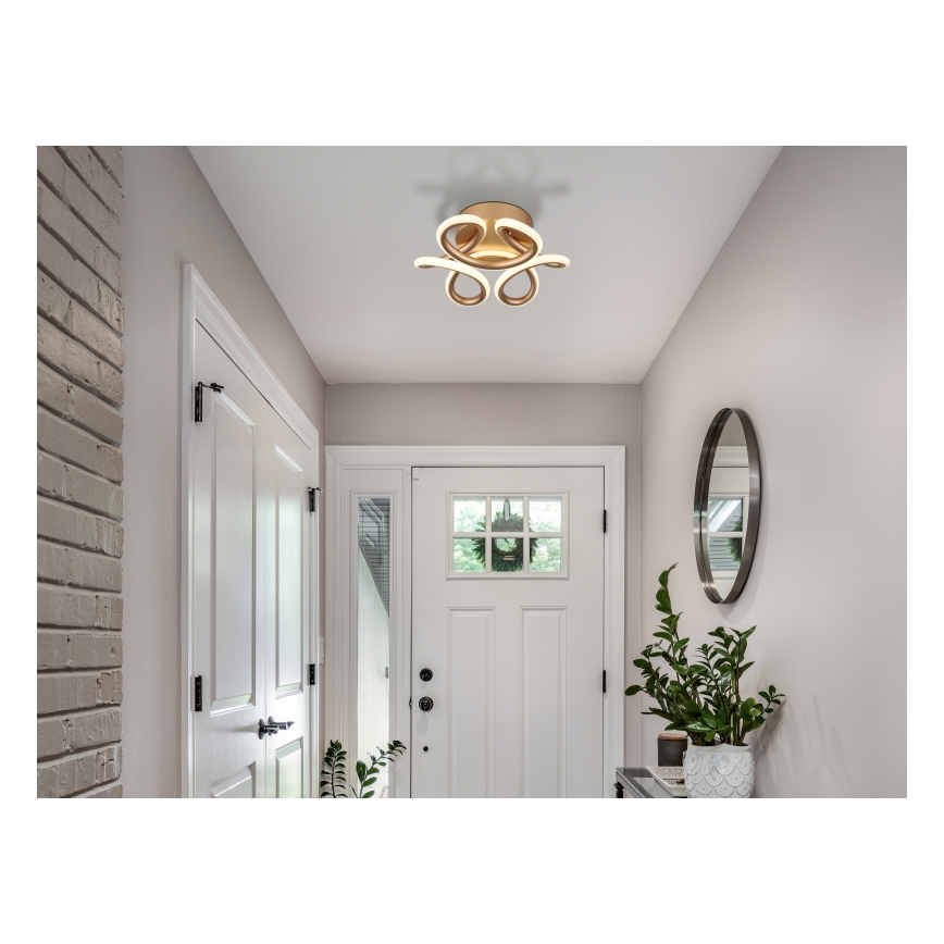 Globo - LED Плафониера LED/24W/230V 2700/4000/6000K Ø 26 см златист