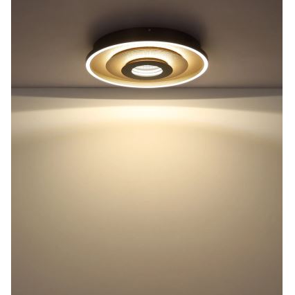 Globo - LED таванно осветително тяло, 30W/230V, 3000/4000/6000K, диаметър 40 см