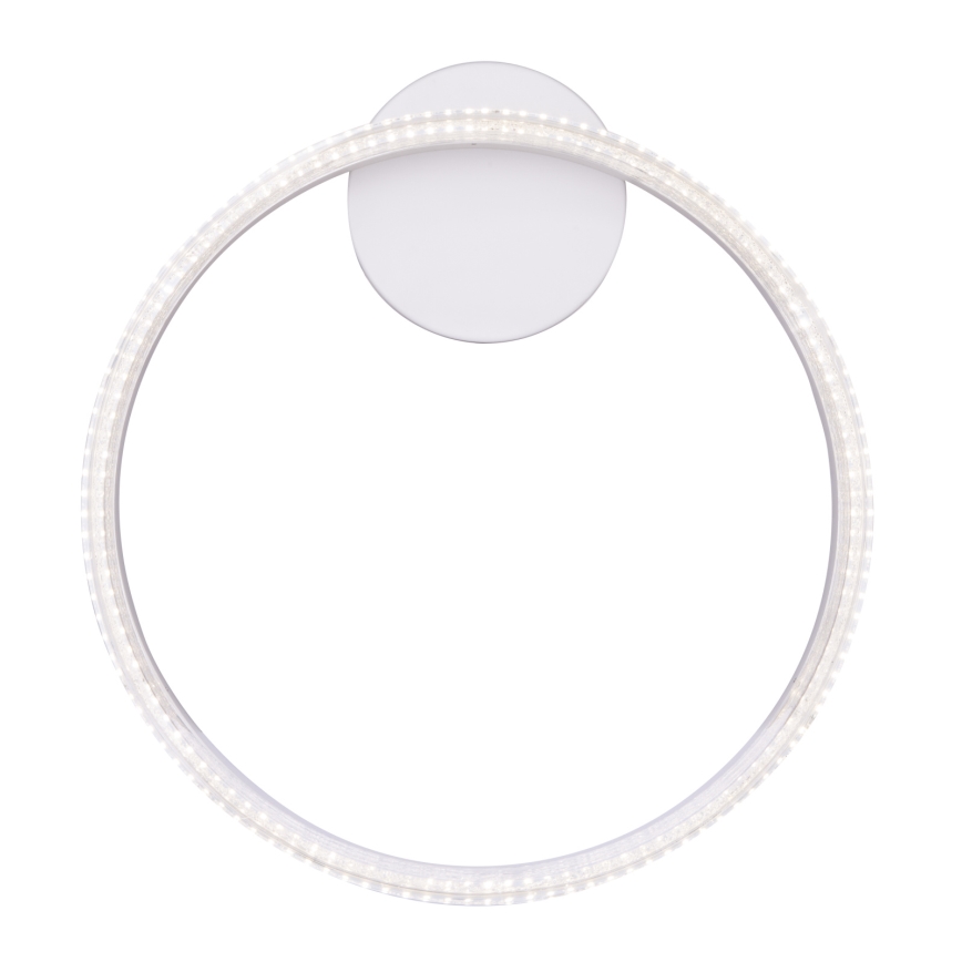 Globo - LED Лампа за таван LED/24W/230V