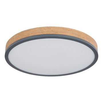 Globo - Димируемо LED таванно осветително тяло LED/24W/230V 2700-6500K Ø 45 см