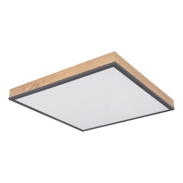 Globo - Димируемо LED таванно осветително тяло LED/24W/230V 3000-6500K 45x45 cm