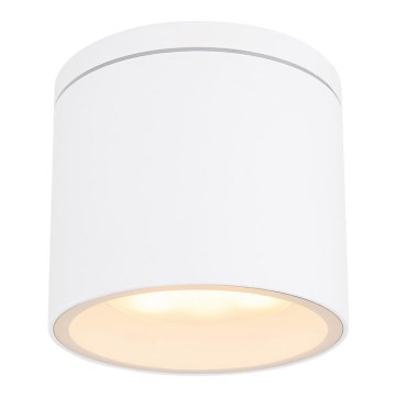 Globo - Екстериорна лампа за таван 1xGX53/11W/230V IP44