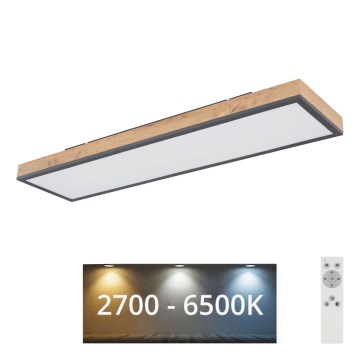 Globo - LED Димируем плафон LED/24W/230V 2700-6500K + дистанционно управление
