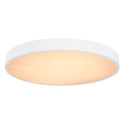 Globo - LED Димируем плафон LED/48W/230V 3000-6000K + дистанционно управление
