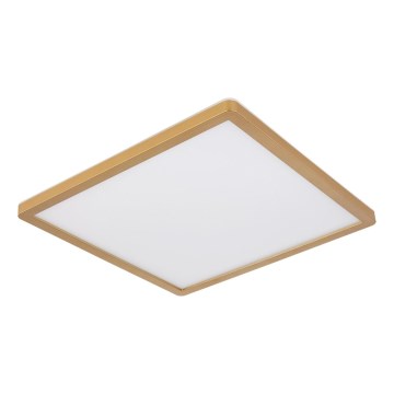 Globo - LED Димируем плафон за баня LED/24W/230V 3000K IP44 42x42 см месинг